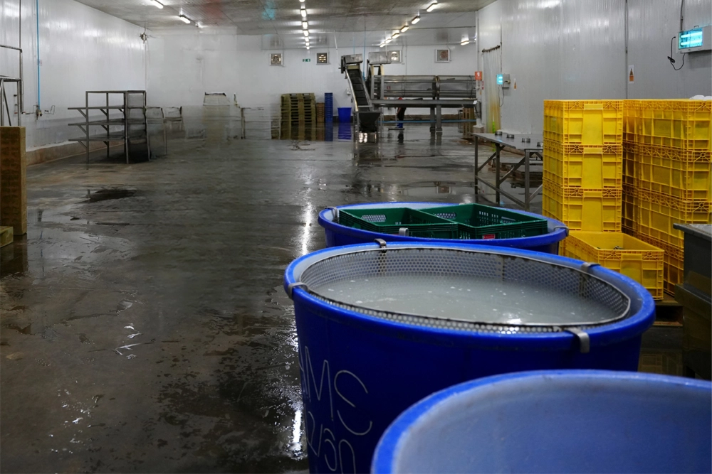 Yağ Geri Kazanımı